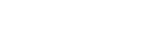CSS MANAGEMENT LTD
